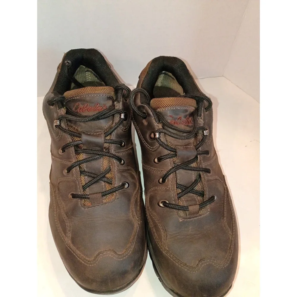 Cabelas Dry-Plus Mens 10.5 D Brown Leather Waterproof Hiking Shoes 82-4332 Low